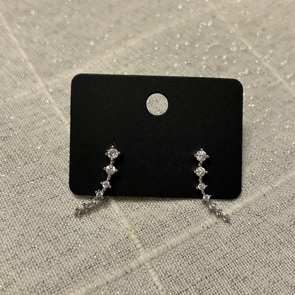 Elegant Silver Drop Earrings
